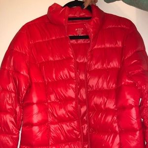 AQUA Red Puffer